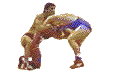yaniwr2.gif